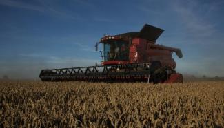 कंबाइन हार्वेस्टर Case IH Axial Flow 8120