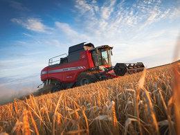 कंबाइन हार्वेस्टर Massey Ferguson Beta 7360