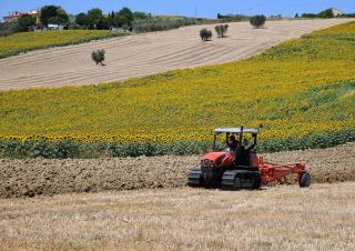 कंबाइन हार्वेस्टर DEUTZ-FAHR C 7205 Farmline