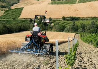 कंबाइन हार्वेस्टर DEUTZ-FAHR C 7206 TS Farmline Extra Power