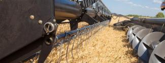 कंबाइन हार्वेस्टर Massey Ferguson Centora 7382