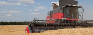कंबाइन हार्वेस्टर Massey Ferguson Centora 7382
