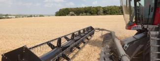 कंबाइन हार्वेस्टर Massey Ferguson Centora 7382