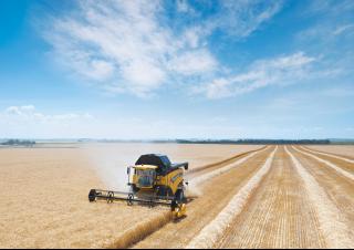 कंबाइन हार्वेस्टर New Holland CX 6090 Elevation
