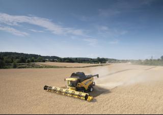 कंबाइन हार्वेस्टर New Holland CX 8090 Elevation