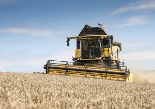 कंबाइन हार्वेस्टर New Holland CX5.90 Laterale