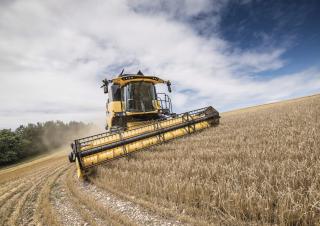 कंबाइन हार्वेस्टर New Holland CX5.90 Laterale