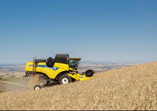 कंबाइन हार्वेस्टर New Holland CX5.90