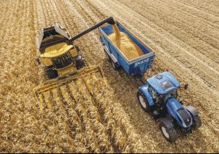 कंबाइन हार्वेस्टर New Holland CX6.80