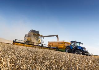 कंबाइन हार्वेस्टर New Holland CX8.85 Elevation