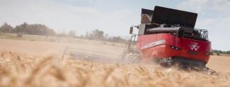 कंबाइन हार्वेस्टर Massey Ferguson Delta 9380