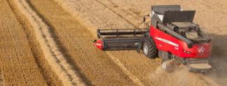 कंबाइन हार्वेस्टर Massey Ferguson Delta 9380