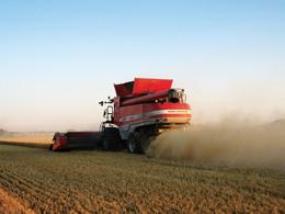 कंबाइन हार्वेस्टर Massey Ferguson Fortia 9695