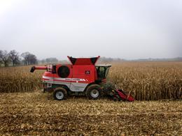कंबाइन हार्वेस्टर Massey Ferguson Fortia 9695