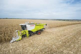 कंबाइन हार्वेस्टर Claas Lexion 670