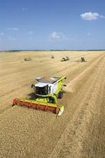 कंबाइन हार्वेस्टर Claas Lexion 670