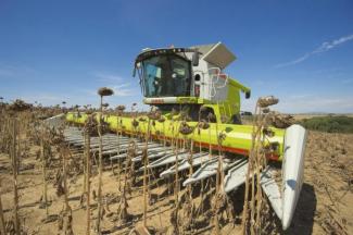 कंबाइन हार्वेस्टर Claas Lexion 670 Montana
