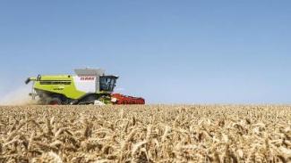 कंबाइन हार्वेस्टर Claas Lexion 770 TerraTrac