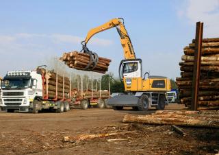 मटेरियल हैंडलर Liebherr LH 60 M Timber Litronic