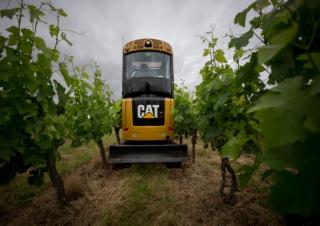 मिनी एक्सकेवेटर Caterpillar 302 CR