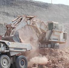 क्रॉलर एक्सकेवेटर Liebherr R 995 