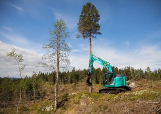 क्रॉलर एक्सकेवेटर Kobelco SK 140 SRL 5