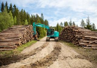 क्रॉलर एक्सकेवेटर Kobelco SK 140 SRL 5