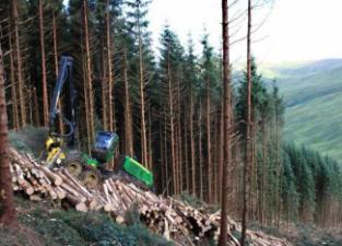 फॉरेस्ट मशीनरी हार्वेस्टर John Deere 1270 E IT4