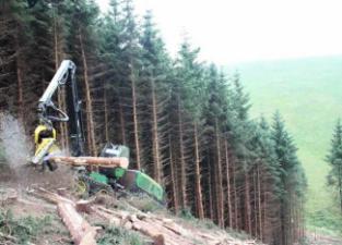 फॉरेस्ट मशीनरी हार्वेस्टर John Deere 1270 E IT4