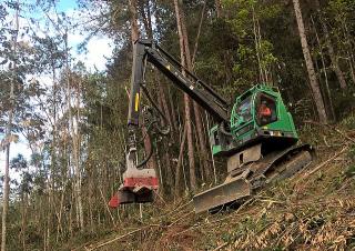 फॉरेस्ट मशीनरी हार्वेस्टर Neuson Forest 183HVT