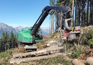 फॉरेस्ट मशीनरी हार्वेस्टर Neuson Forest 243HV