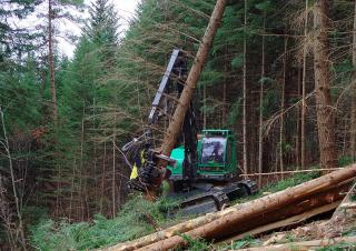 फॉरेस्ट मशीनरी हार्वेस्टर Neuson Forest 243HVT