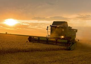 कंबाइन हार्वेस्टर Fendt 5255 L MCS Rice
