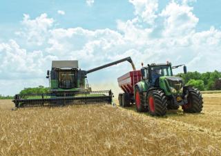 कंबाइन हार्वेस्टर Fendt 5255 L MCS Rice