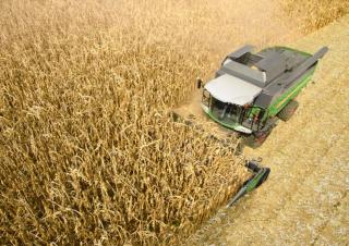 कंबाइन हार्वेस्टर Fendt 6335 C Rice