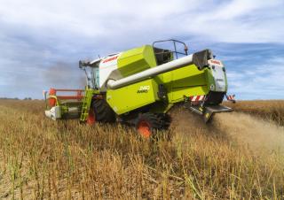 कंबाइन हार्वेस्टर Claas Avero 240
