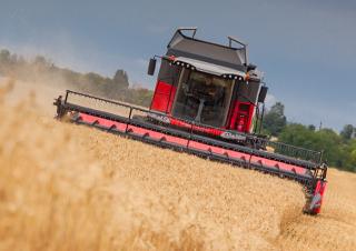 कंबाइन हार्वेस्टर Massey Ferguson Beta 7360 PL