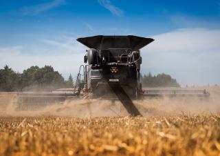 कंबाइन हार्वेस्टर Massey Ferguson Ideal 7 PL