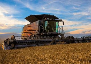 कंबाइन हार्वेस्टर Massey Ferguson Ideal 8