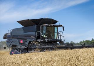 कंबाइन हार्वेस्टर Massey Ferguson Ideal 9 T