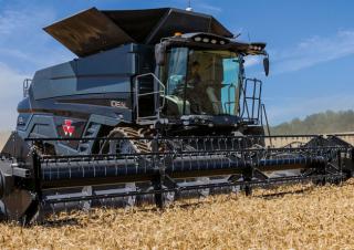 कंबाइन हार्वेस्टर Massey Ferguson Ideal 9 T