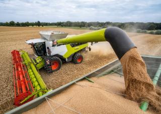 कंबाइन हार्वेस्टर Claas Lexion 6900 