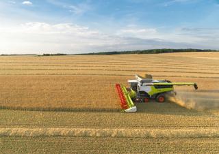 कंबाइन हार्वेस्टर Claas Lexion 7700 TerraTrac 