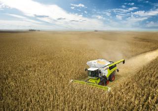 कंबाइन हार्वेस्टर Claas Lexion 7700 TerraTrac 