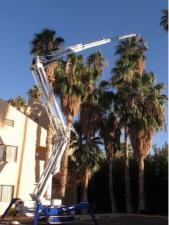आर्टिकुलेटिंग बूम लिफ्ट क्रॉलर आर्टिकुलेटिंग बूम लिफ्ट Falcon Lifts FS 320 Z