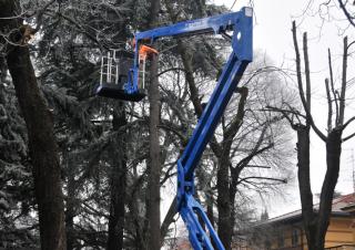 आर्टिकुलेटिंग बूम लिफ्ट क्रॉलर आर्टिकुलेटिंग बूम लिफ्ट CTE Traccess 230