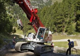 क्रॉलर क्रेन - टेलीस्कोपिक बूम Liebherr LTR 1060
