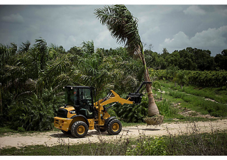 व्हील लोडर Caterpillar 903D