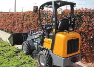 व्हील लोडर Giant D 263 SW X-TRA
