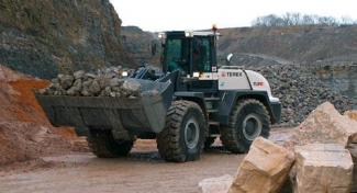 व्हील लोडर Terex TL 310